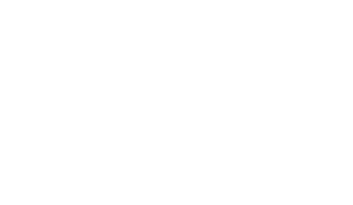 Fipec | Carrière